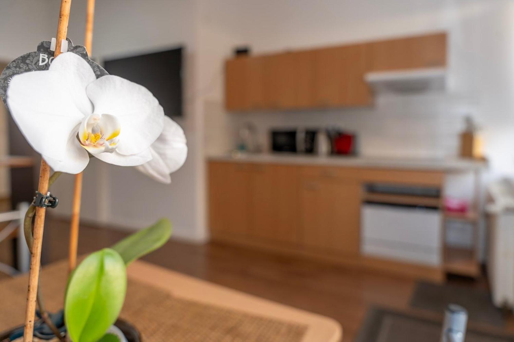 Cosy Nest - Apartment By Comfort Housing فالكنزيه المظهر الخارجي الصورة